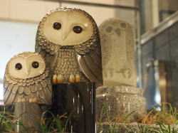 �r�܂̂ӂ��낤