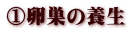 ①卵巣の養生